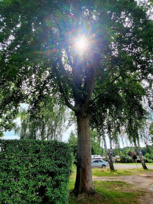 Apartment Haus Am Walde *