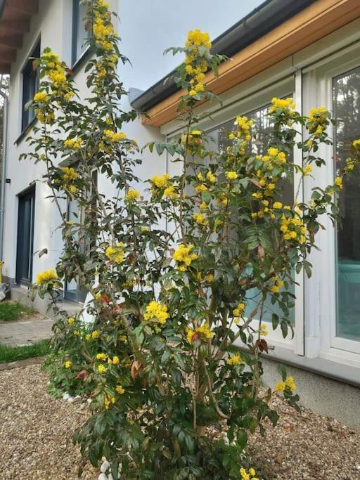 Haus Am Walde