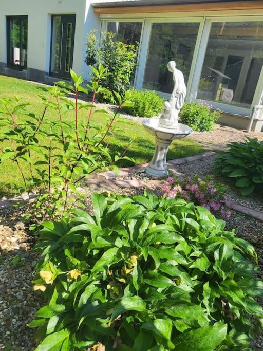 Haus Am Walde Mullrose