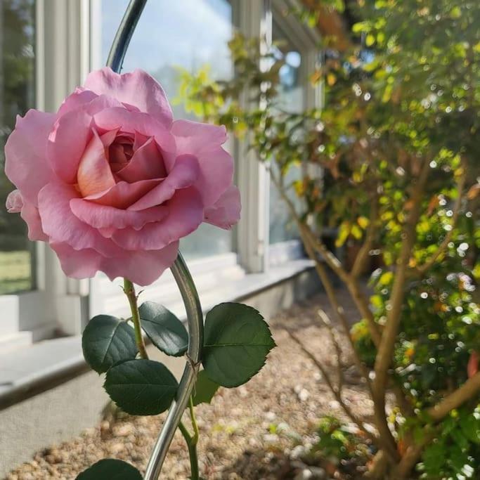 Haus Am Walde Apartment Mullrose